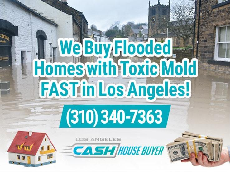 los angeles water damage and mold